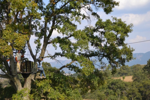 Volando entre arboles